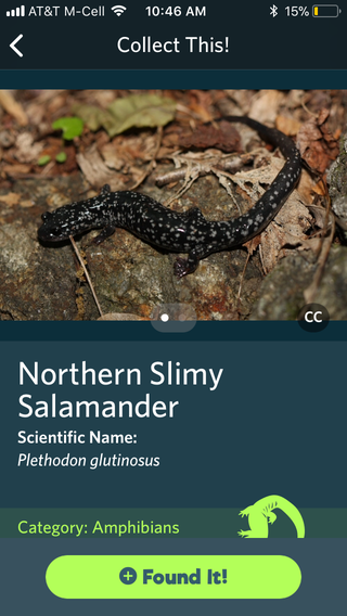 Illustration for article titled This New App Is Like Shazam for Your Nature Photos
